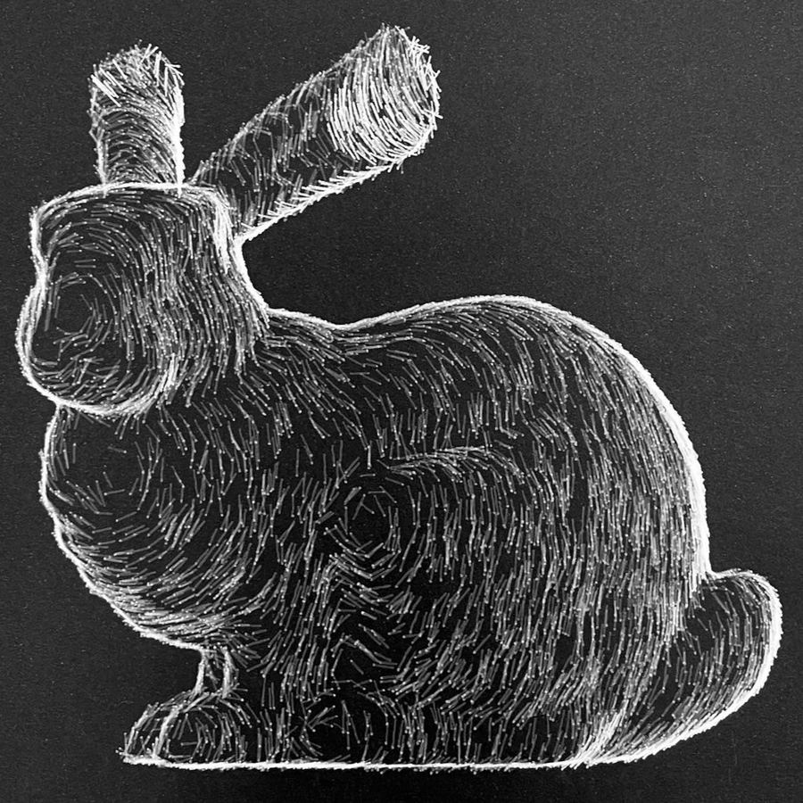 White bunny sketch on a dark ground